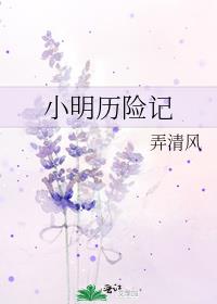 小明历险记 弄清风