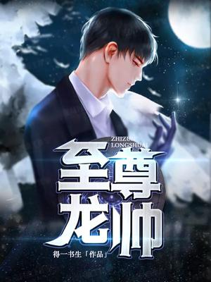 至尊龙帅第12集免费观看