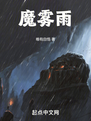 魔雾雨卡组