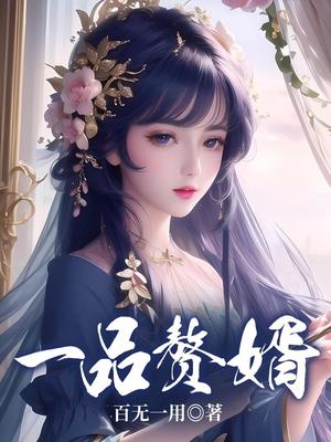 一品神婿小说