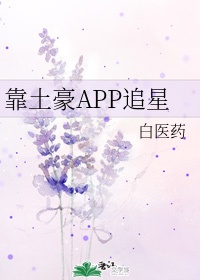 靠土豪app追星小说