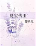 夏宝传ⅰ 小说