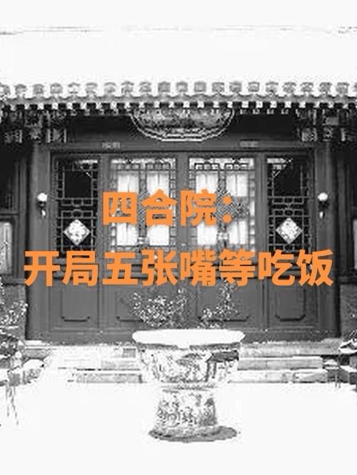 四合院:开局暴打