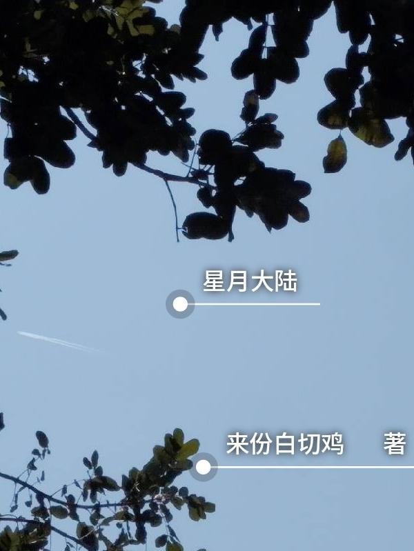 星月设计网站斗罗大陆