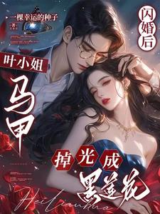 闪婚成爱叶先生