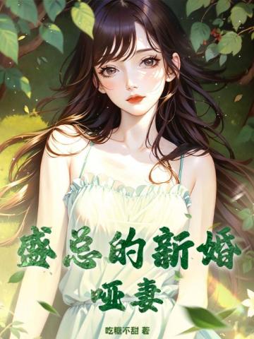 陆总的新婚哑妻电视剧100集