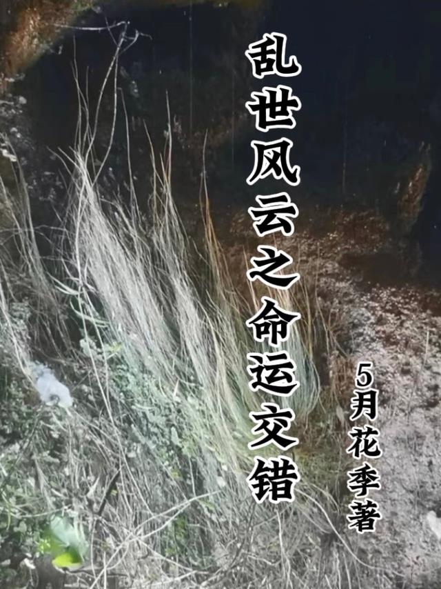 乱世风云剧情介绍