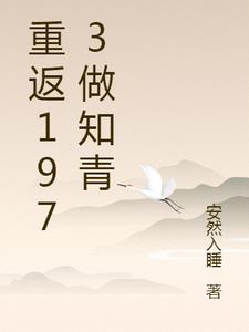 重返1973做知青主角叫林里