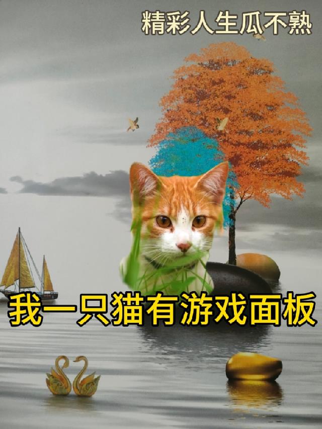 我一只猫有游戏面板