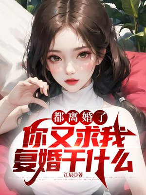 小说离婚又复婚